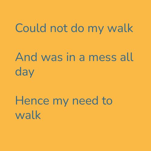 Could not do my walk