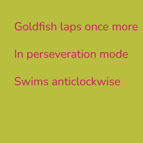 Goldfish laps once more