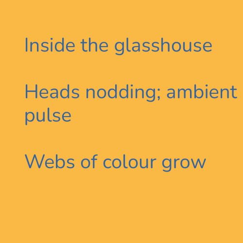 Inside the glasshouse
