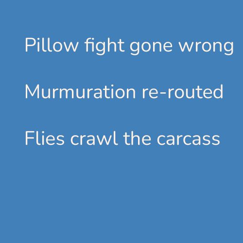 Pillow fight gone wrong