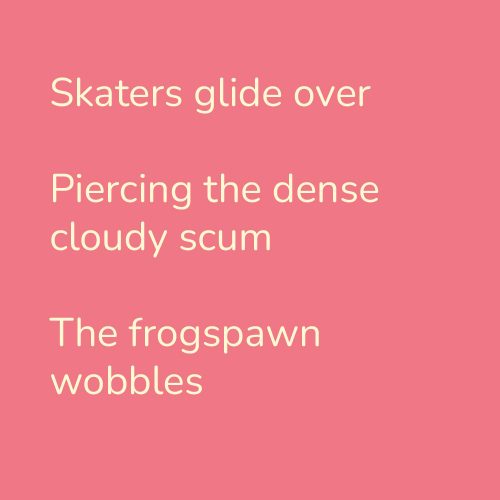 Skaters glide over