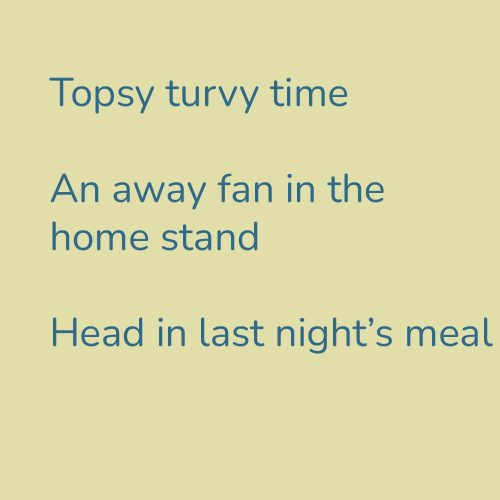 Topsy turvy time